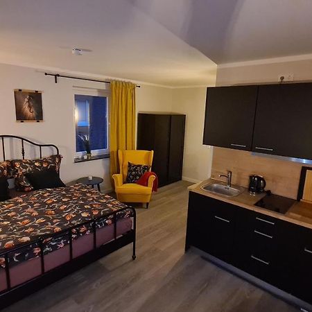 City-Apartment Nr 9 Zarrentin am Schaalsee 外观 照片